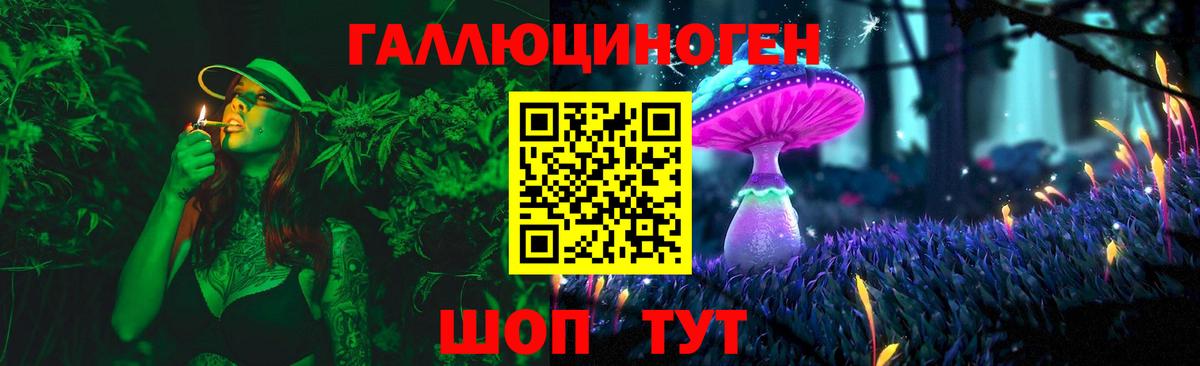 Дедовск  Псилоцибиновые грибы Psilocybe  Вход с VPN 